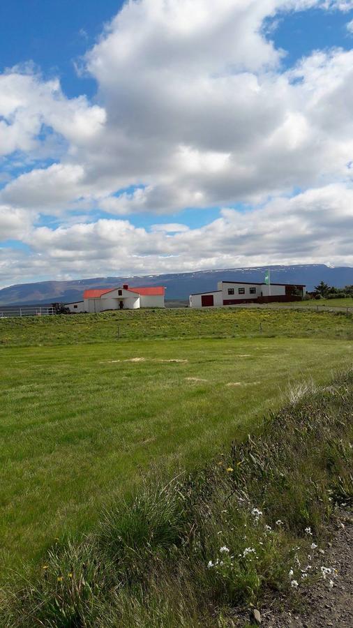 Glaesibaer Bed & Breakfast Reynistadur Eksteriør bilde